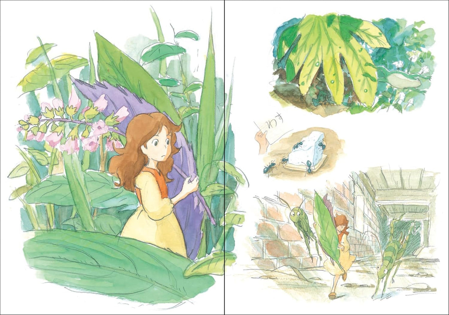 Studio Ghibli the Secret World of Arrietty Journal (Studio Ghibli)