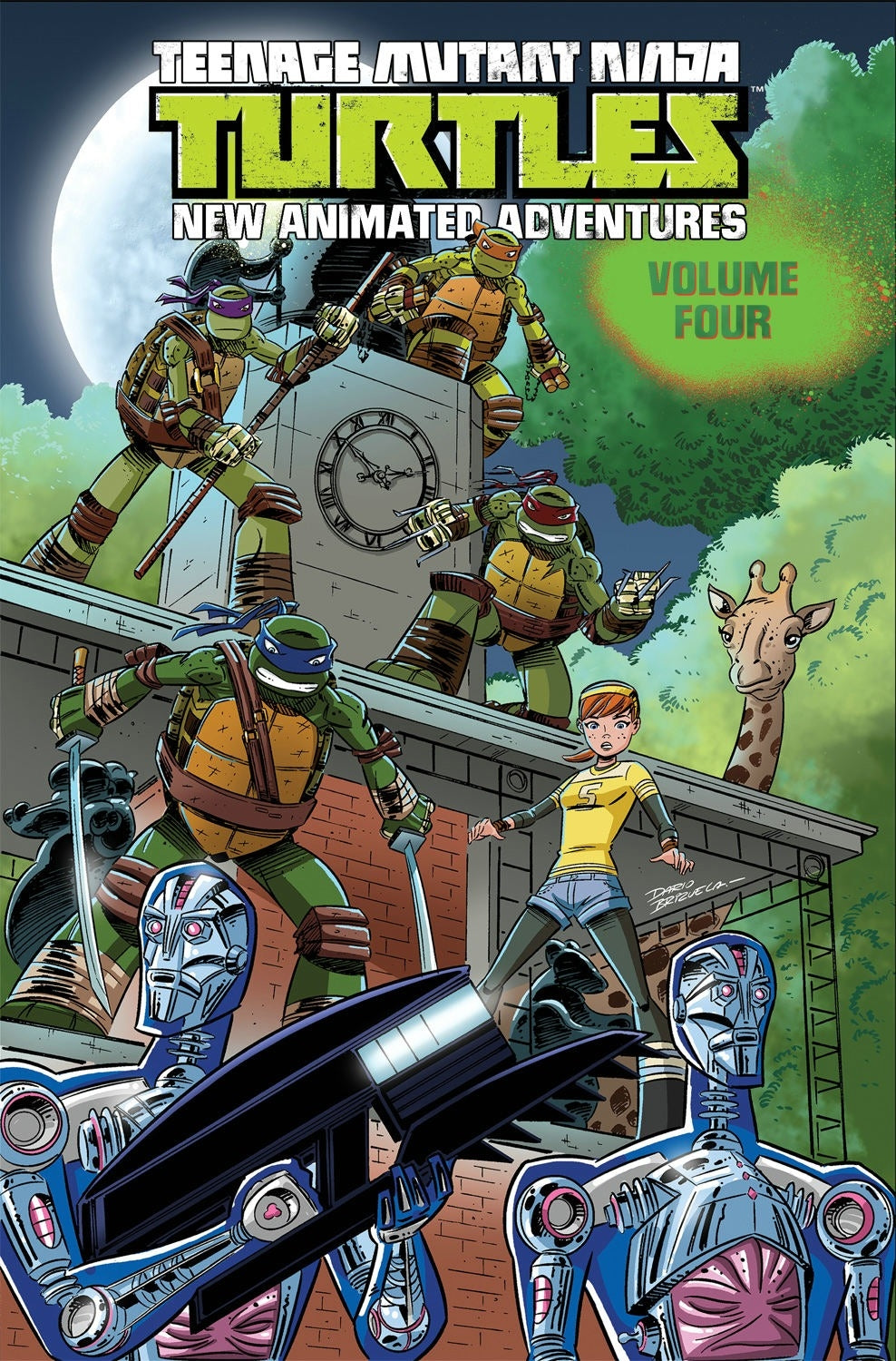 Teenage Mutant Ninja Turtles: New Animated Adventures Vol. 4 TP