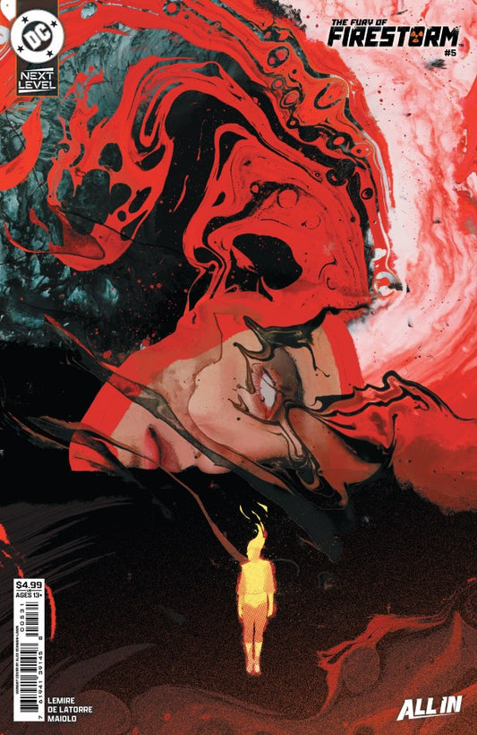 The Fury of Firestorm #5 Cover C Alex Eckman-Lawn Variant